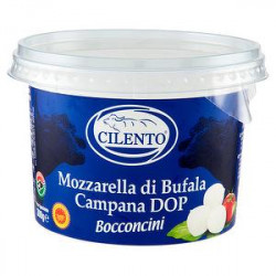 Mozzarella di bufala DOP CILENTO 300gr