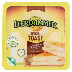 Special Toast LEERDAMMER 125gr