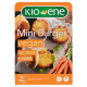 Mini burger vegan senza soia KIOENE con zucca e carote 200gr