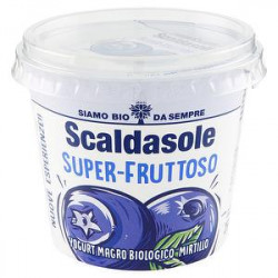 Yogurt magro bio FATTORIA SCALDASOLE mirtilli 250gr