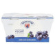 Yogurt VIPITENO mirtillo conf. 125gr x 2 pezzi