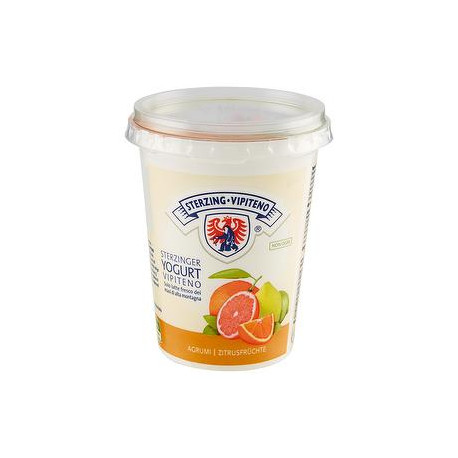 Yogurt VIPITENO agrumi 500gr