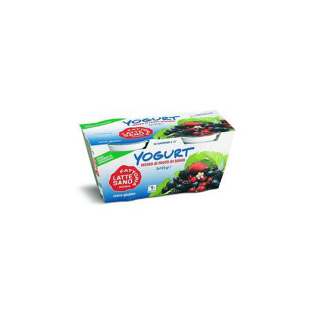 Yogurt FATTORIA LATTE SANO ROMA frutti di bosco conf. 125gr x 2 pezzi