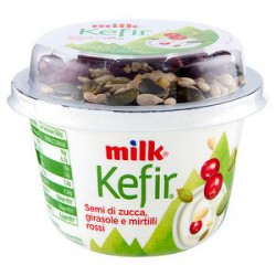 Kefir mix semi girasole/zucca e mirtilli rossi MILK senza lattosio 160gr