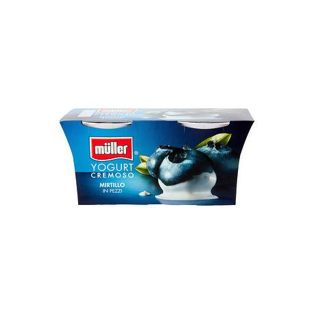 Yogurt MüLLER mirtillo in pezzi conf. 125gr x 2 pezzi