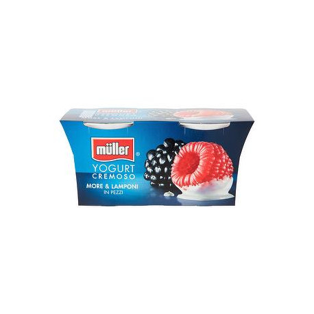 Yogurt MüLLER more e lamponi in pezzi conf. 125gr x 2 pezzi