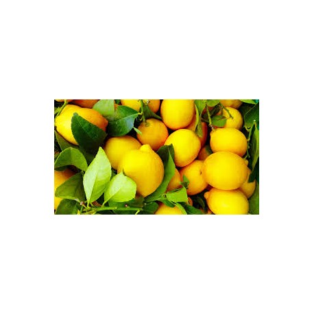 Limoni succosi 1 kg
